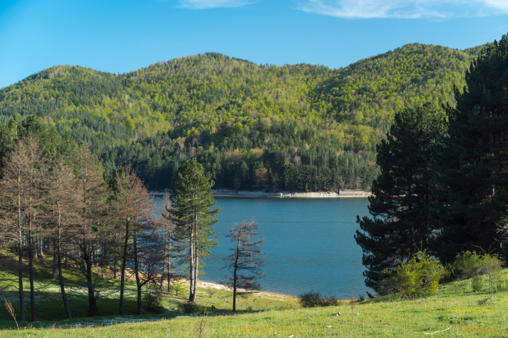 Parco Nazionale della Sila